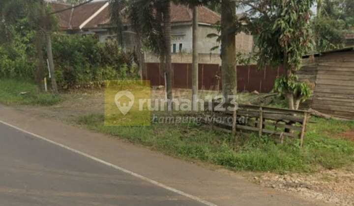 Tanah Pinggir Kota Bandar Lampung Tanah Pinggir Kota Bandar Lampung