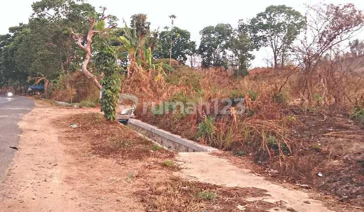 Tanah Pinggiran Kota Bandar Lampung Tanah Pinggiran Kota Bandar Lampung
