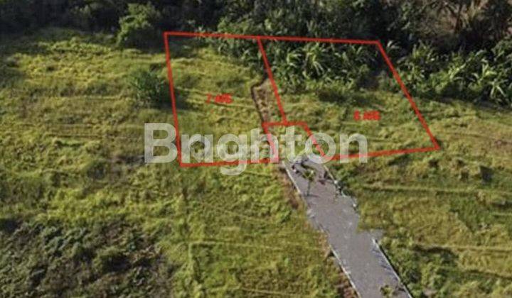 CHEAP LAND NEAR TANAH LOT IN BELANGANG, TABANAN - BALI 1