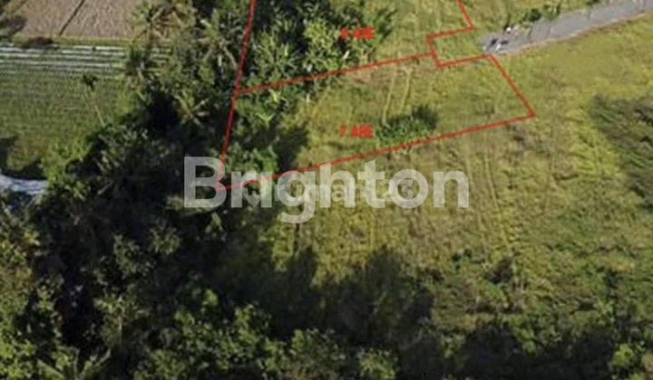 CHEAP LAND NEAR TANAH LOT IN BELANGANG, TABANAN - BALI 2