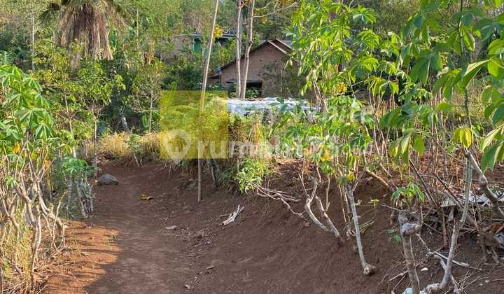 Cheap Land in the City Cheap Land in the City