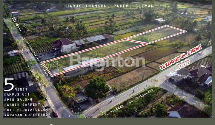 TANAH SHM SAWAH JALUR KUNING BISA KERING 1