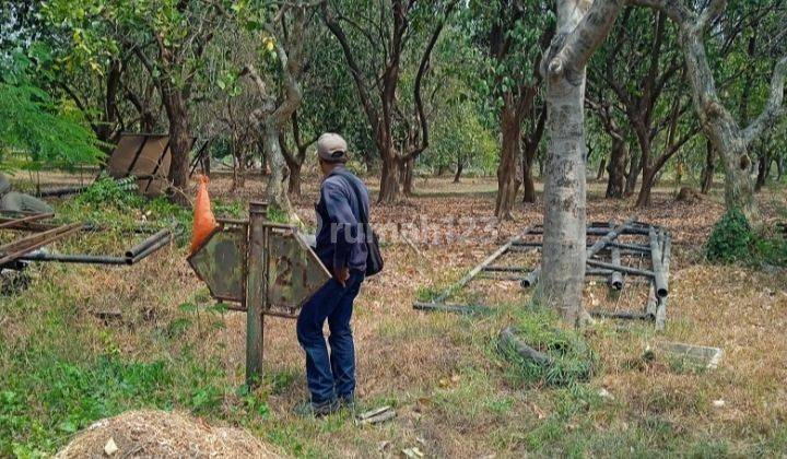 Tanah Kavling Siap Bangun Di Taman Golf Selatan Jababeka Cikarang 1