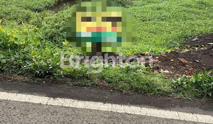 TANAH PINGGIR JALAN LT 322 M2 DI BAKALAN KRAJAN, KEC SUKUN, KOTA MALANG TANAH PINGGIR JALAN LT 322 M2 DI BAKALAN KRAJAN, KEC SUKUN, KOTA MALANG