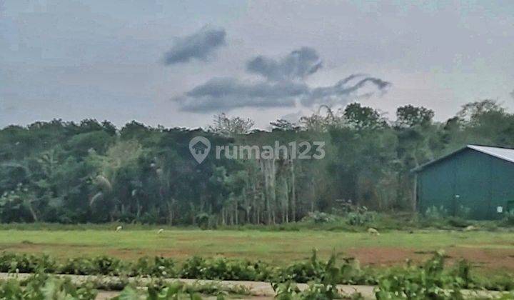 MURAH TANAH INDUSTRI KABUPATEN SEMARANG, SALATIGA 2