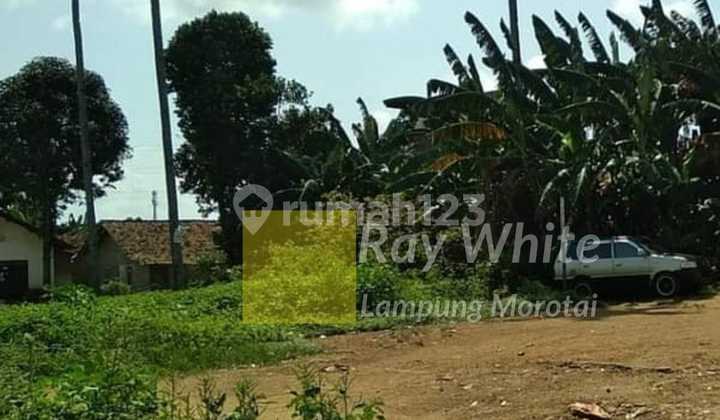 Land Ready to Build in Tanjung Senang, Way Kandis