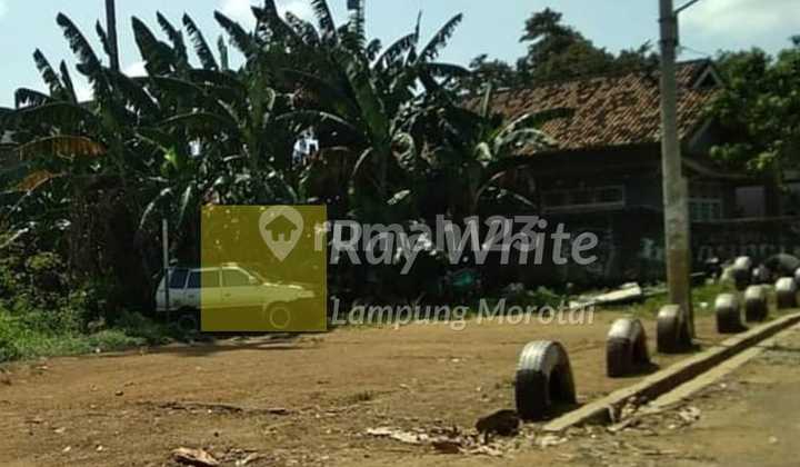 Tanah Siap Bangun Di Tanjung Senang Way Kandis hr