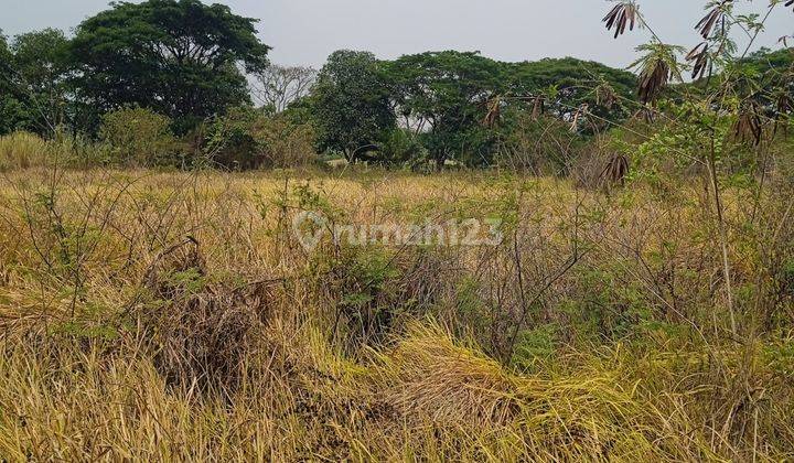 Tanah Kavling Siap Bangun Di Taman Golf Utama Jababeka 1