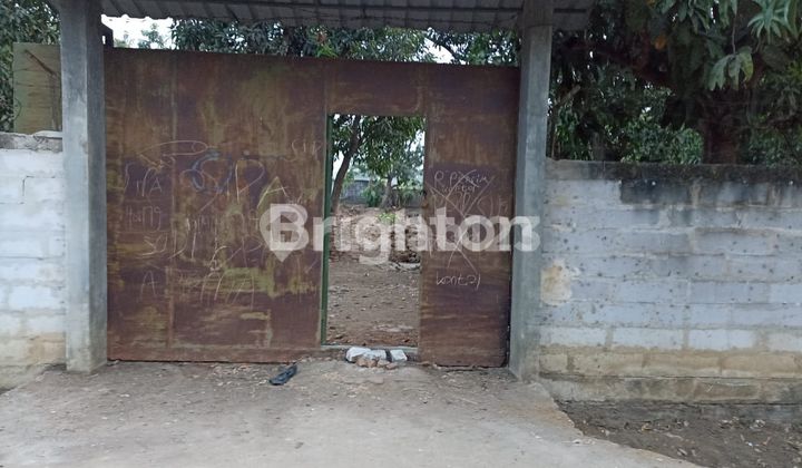 Large Land in Widasari, Bangkaloak, Indramayu