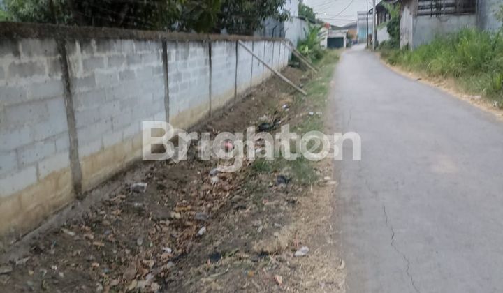 Large Land in Widasari, Bangkaloak, Indramayu