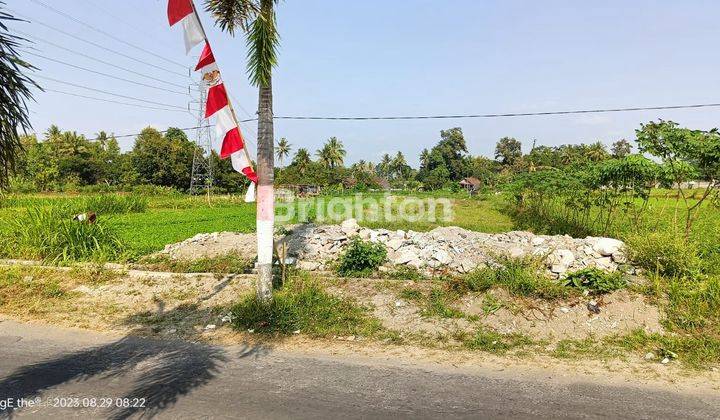 TANAH PEKARANGAN STRATEGIS. SELANGKAH STADION MAGUWOHARJO 1