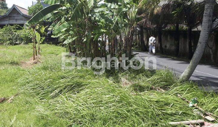 TANAH DI JALAN UTAMA CANGGU - BANTAN KANGIN, BALI 2