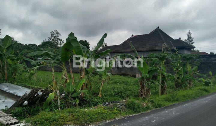 TANAH PEKARANGAN DI PINGGIR JALAN MAGELANG KM 17, SLEMAN 1