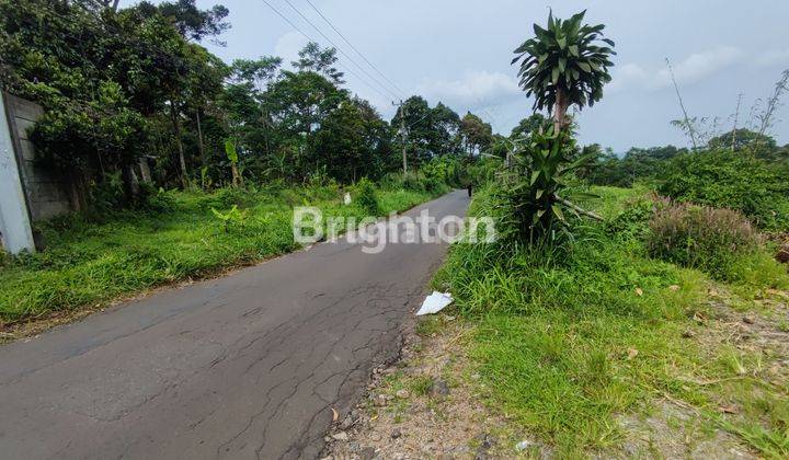 Tanah di daerah bojongkerta 2