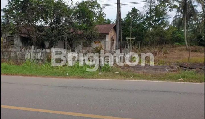 Tanah Luas 3.7 Hektar LOKASI TANAH ARAH BANDARA APT PRANOTO