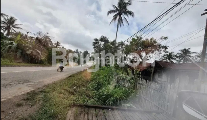 Tanah Luas 3.7 Hektar LOKASI TANAH ARAH BANDARA APT PRANOTO