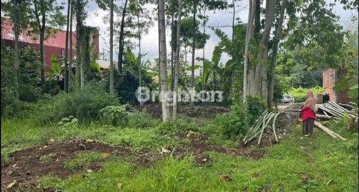 TANAH MURAH LOKASI STRATEGIS DI SINGOSARI KOTA MALANG 1