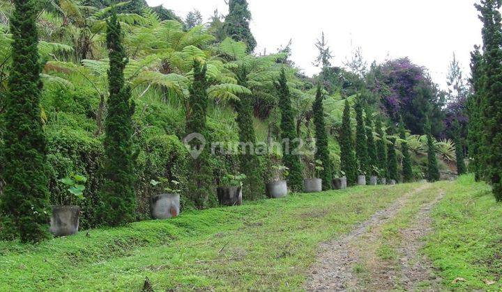 Tanah Padat Siap Bangun Di Dago Pakar Dekat Tahura Bandung 2