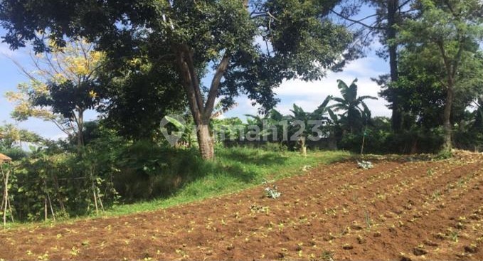 CEPAT KAVLING DI PRIME LOCATION JALAN RAYA SETIABUDI BANDUNG CEPAT KAVLING DI PRIME LOCATION JALAN RAYA SETIABUDI BANDUNG