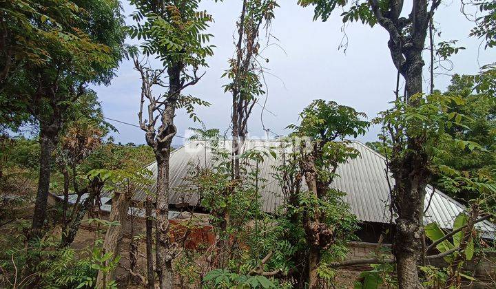 Pa05 Tanah Murah Untuk Rumah Daerah Bondalem Buleleng  2