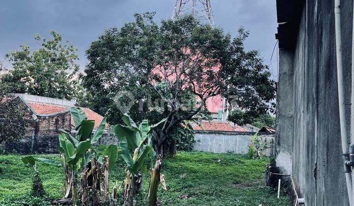 Di  Tanah Kosong di Jl Saidi Tanjung Barat Jagakarsa Jakarta Selatan