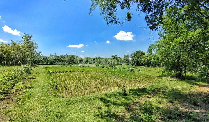 TANAH KAWASAN PERMUKIMAN PERKOTAAN 2