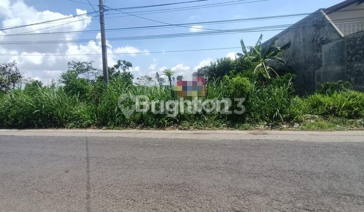 PRODUCTIVE LAND 996 M2 IN LOKANDEN KIDUL, KALISONGO, DAU SUBDISTRICT, MALANG REGENCY