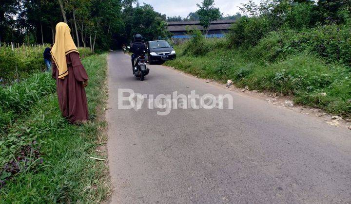 TANAH MURAH DI PINGGIR JALAN DERAH WAJAK KABUPATEN MALANG 2