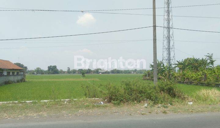 TANAH SAWAH SUDAH ZONA KUNING 0 JALAN RAYA DI PERAK JOMBANG 1