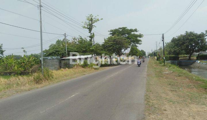 TANAH SAWAH SUDAH ZONA KUNING 0 JALAN RAYA DI PERAK JOMBANG 2