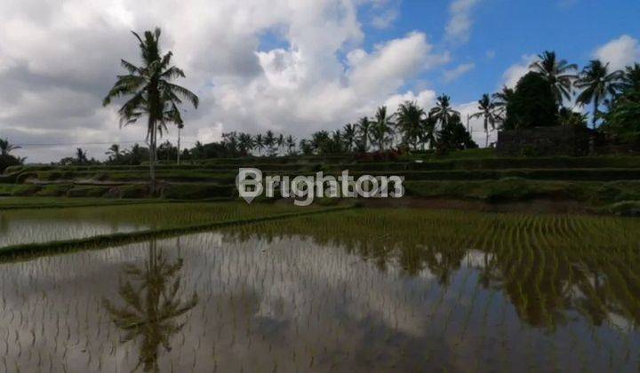 FERTILE LAND VIEW FIELDS 2