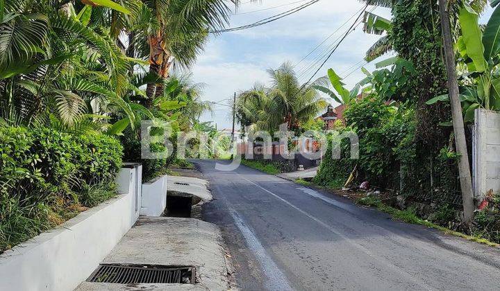 TANAH LANGKA DI KAWASAN VILLA UMALAS, BALI 2