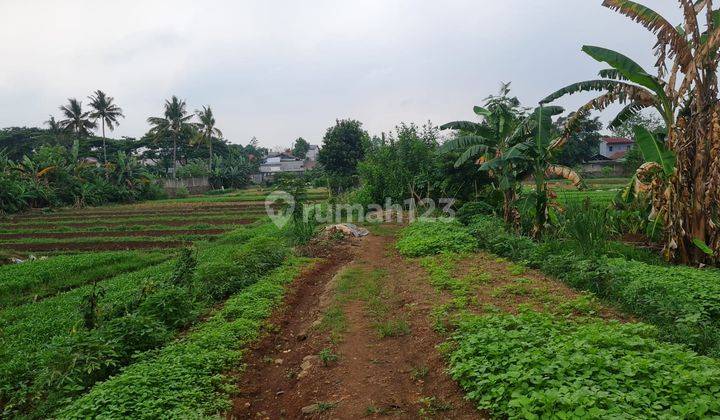 Tanah di Bintaro Sektor 9 Cocok Buat Apartemen,cluster, Sekolah, Dan Rumah Sakit 2