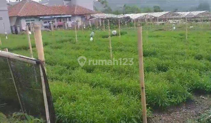 Tanah Sawah Murah Di Jl Desa Cibadak Munyul Kabupaten Bogor 2