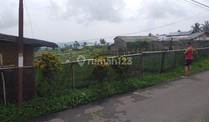 Tanah Sawah Jl Desa Cibadak Munyul Kab Bogor 2