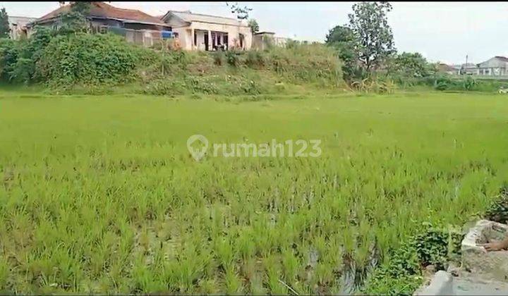 Tanah Sawah Ciwalen Simpang Taman Bunga Nusantara 1