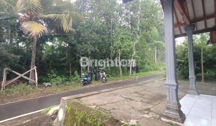 TANAH SIAP BANGUN LT 938 M2 DEKAT GOR KEN AROK, WONOKOYO, KEDUNGKANDANG, MALANG 2