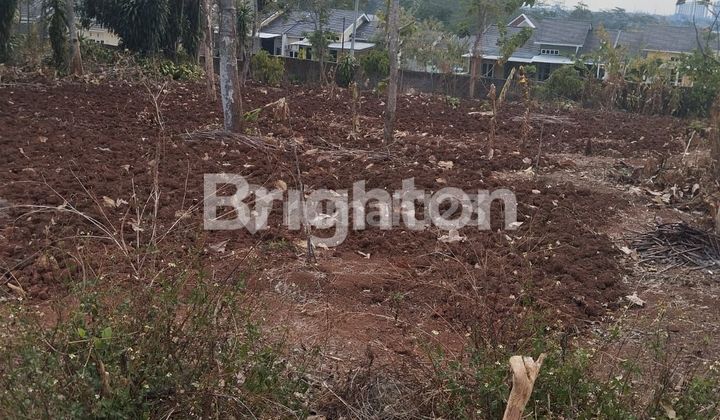 TANAH LUAS DEKAT UNDIP DI MULAWARWAN UTARA DALAM, TEMBALANG 1