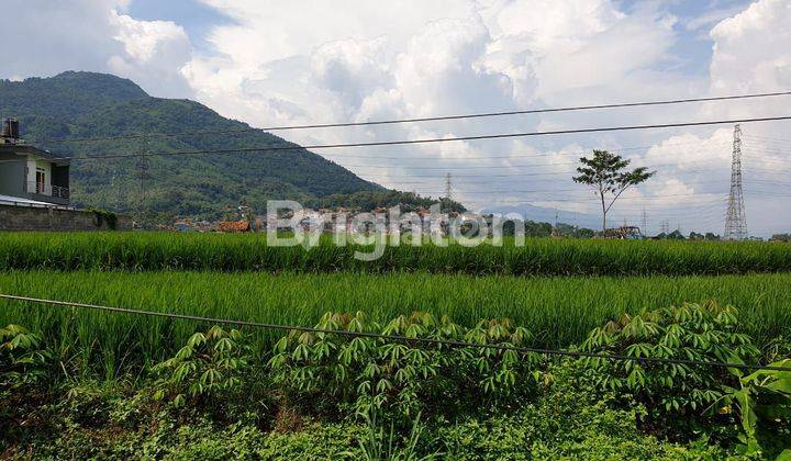 Tanah Sawah luas di Jatinangor dekat kampus Unpad dan ITB 1