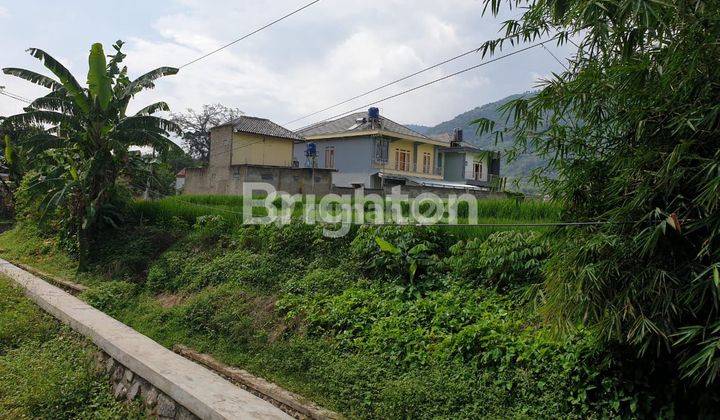 Tanah Sawah luas di Jatinangor dekat kampus Unpad dan ITB 2