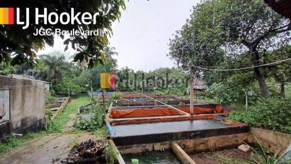 Dijual Tanah 7.072 Cocok Untuk Perumahan di Parung Ciseeng Bogor 2