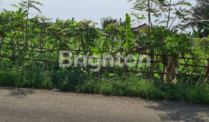 TANAH  VIEW GUNUNG SALAK 15 MENIT DARI EXIT TOL BOCIMI CIGOMBONG 1