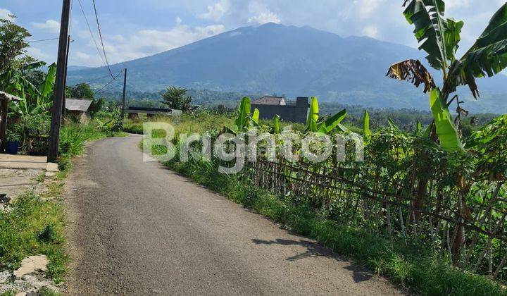 TANAH  VIEW GUNUNG SALAK 15 MENIT DARI EXIT TOL BOCIMI CIGOMBONG 2