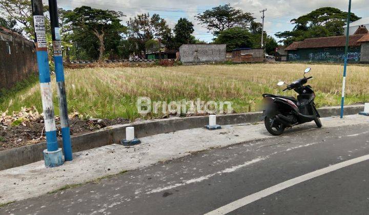 SAWAH JALUR KUNING, BISA DIKERINGKAN, PINGGIR JALAN RINGROAD SELATAN, TIMUR POOL BUS  SUMBER ALAM, MANGKU JALAN ASPAL KAMPUNG , JALUR TRUK , CONTAINER DAN BUS 1