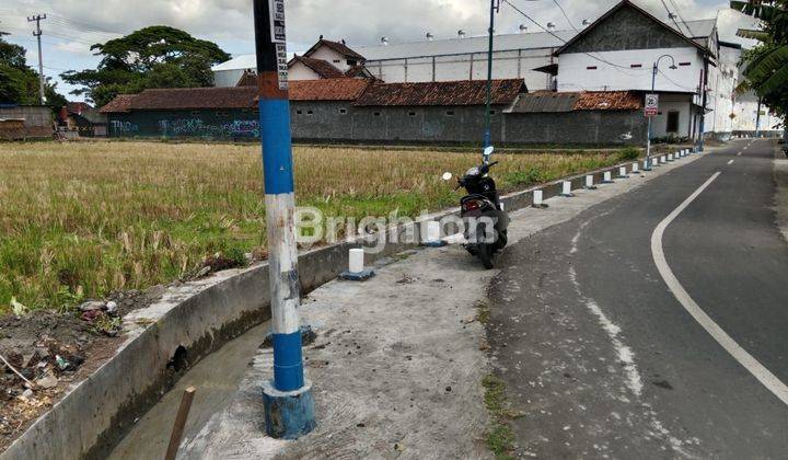 SAWAH JALUR KUNING, BISA DIKERINGKAN, PINGGIR JALAN RINGROAD SELATAN, TIMUR POOL BUS  SUMBER ALAM, MANGKU JALAN ASPAL KAMPUNG , JALUR TRUK , CONTAINER DAN BUS 2