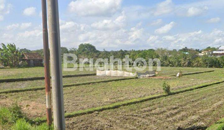 TANAH DENGAN VIEW SAWAH DI MARGA TABANAN BALI 2