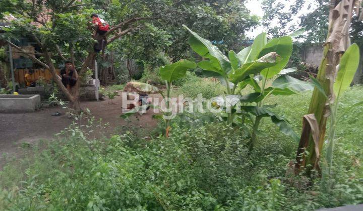 TANAH DEKAT UMY, DALAM RING ROAD KASIHAN BANTUL 1