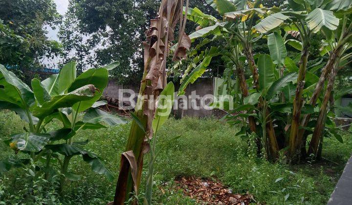 TANAH DEKAT UMY, DALAM RING ROAD KASIHAN BANTUL 2