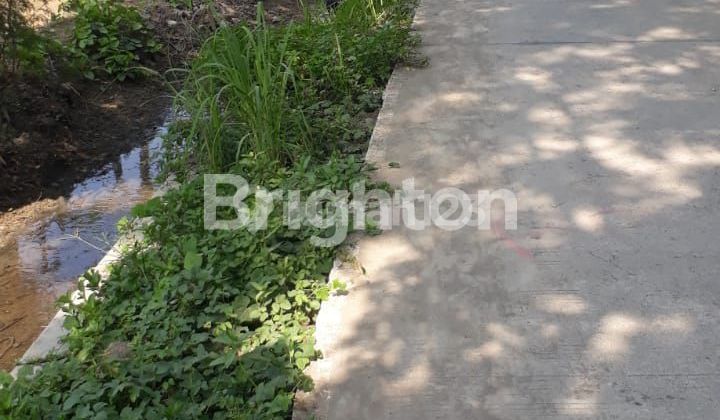 TANAH HOOK DI BATURSARI MRANGGEN TANAH HOOK DI BATURSARI MRANGGEN