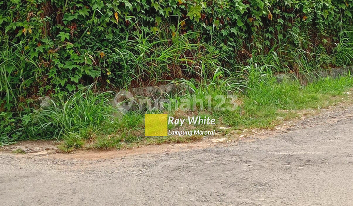 Tanah komersil murah untuk kos an lokasi dekat kampus bandar lampung